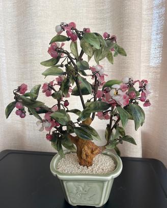 Pianta in vetro