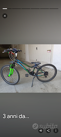 Bicicletta a 6 marce