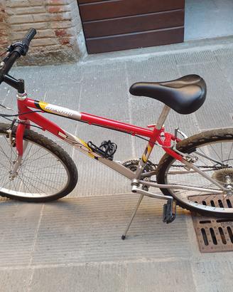 mtb uomo
