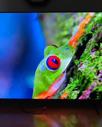 Tv samsung oled 55”4k uhd smart tv s85f + fattura
