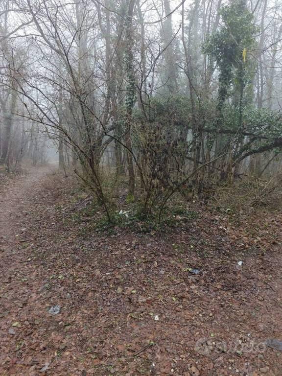 Immobile in asta di 1785 m² a Castellanza - Vista 4