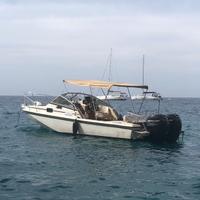 Boston Whaler Revenge 25 WT (140 ore moto)