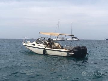 Boston Whaler Revenge 25 WT (140 ore moto)