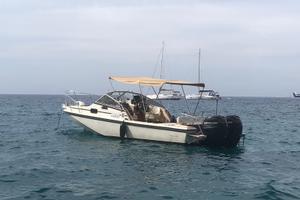 Boston Whaler Revenge 25 WT (140 ore moto)