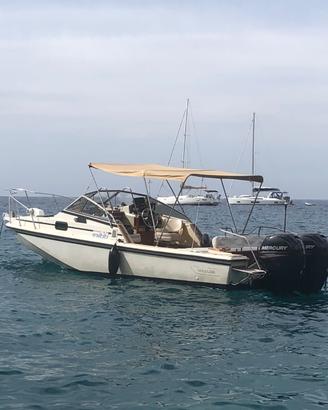 Boston Whaler Revenge 25 WT (140 ore moto)