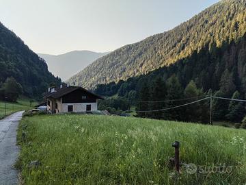 Terreno Fabbricabile Val di Rabbi