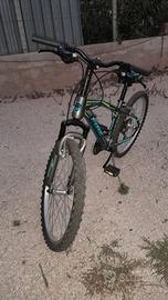 Mountain bike