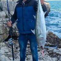 combo da shore gig savage shimano 