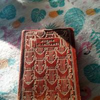 Mini libro poesie di Giacomo leopardi