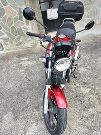 Moto Guzzi Breva 750 - 2005