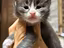 Immagine 6