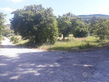 Terreno edificabile Colle di Nocera Umbra