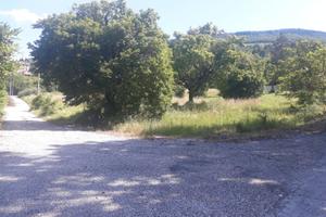 Terreno edificabile Colle di Nocera Umbra