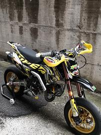 Pitbike Ayrton Viper Formula, DNM e Fastace