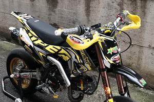 Pitbike Ayrton Viper Formula, DNM e Fastace