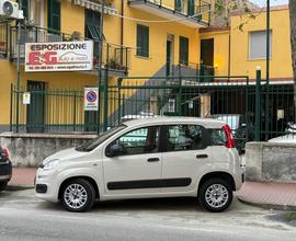 FIAT Panda 1.2 Easy 5 posti