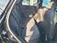 Immagine 10