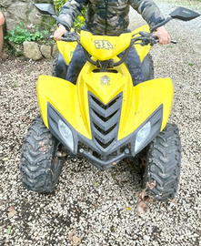 Quad dinli cobia 50 2t