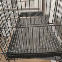 Gabbia da cova zincata da 58