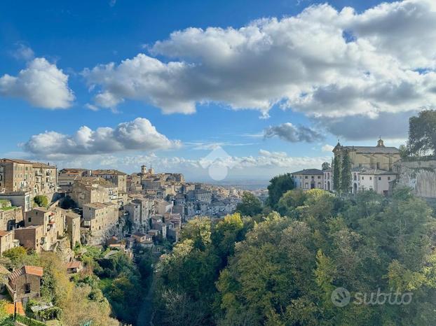 3 LOCALI A CAPRAROLA