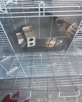 Gabbia roditori in acciaio 73x47x80