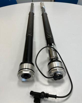 Sospensioni elettroniche multistrada v4s