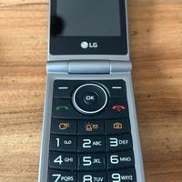 LG350 telefono cellulare
