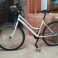 Bici regina 26