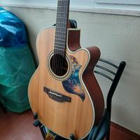 Chitarra Acustica Elettrificata