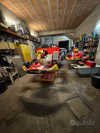 Go kart RS 10 con kz10c preparato