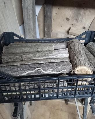 legna da ardere robinia 