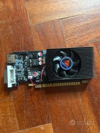 GT 730 4GB Scheda Video GPU Desktop Ufficio Gaming