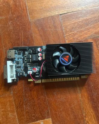 GT 730 4GB Scheda Video GPU Desktop Ufficio Gaming