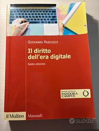 Il diritto dell’era digitale