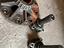 Immagine 5