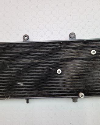 RADIATORE ACQUA APRILIA CAPONORD 1000 2003 2004 RA