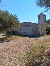 CAPANNONE e TERRENO agricolo