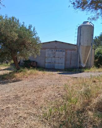CAPANNONE e TERRENO agricolo