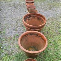 12 Vasi giardino Terracotta Impruneta