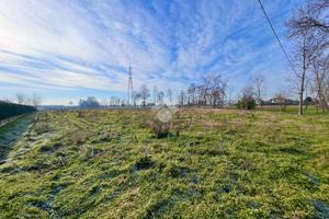 TER. AGRICOLO A SAN GIORGIO IN BOSCO