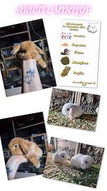 Conigli nani arieti e minilop