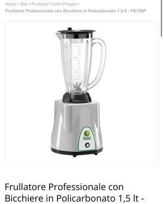 Frullatore professionale