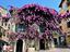 Immagine 30