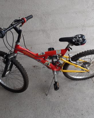 Bicicletta