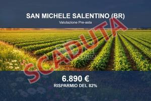 Immobile in asta di 13998 m² a San Michele Salenti