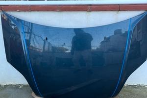 Portiere e cofano ford fiesta 2007