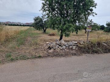 Terreno in c.da zappalanotte a STATTE