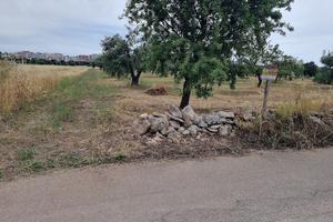 Terreno in c.da zappalanotte a STATTE