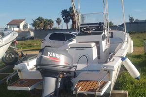 Albatros 17 - motore fuoribordo 40/60 hp