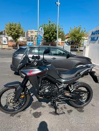 Honda transalp 750 anno 2024